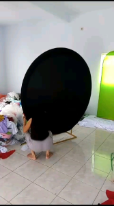 BACKGROUND KAIN BULAT BAHAN ABUTAY FILAMIN UKURAN DIAMTER 2METER