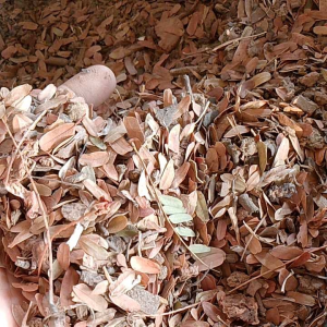 ใบมะขามแห้ง(1กิโลกรัม)