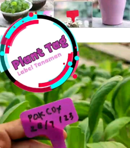 6 BUAH PENANDA LABEL/NAME AND DATE TAG TANAMAN HIAS