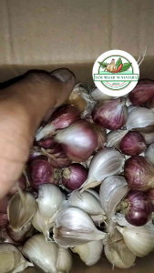 Bawang Merah Campur Merah dan Putih Segar Kering Besar