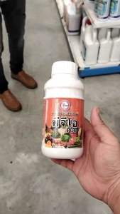 พีจีโอ PGO