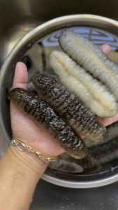 澳洲纹秃参(70-90pcs/kg） | Australian Dried Sea Cucumber (70-90pcs/kg)
