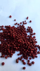 Pupuk Merah Osmocote Slow Release Aglonema & Pupuk Daun 100gr