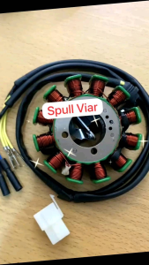 Spull Assy- Stator Comp 12pole/160W/93mm (TW 01D) Viar