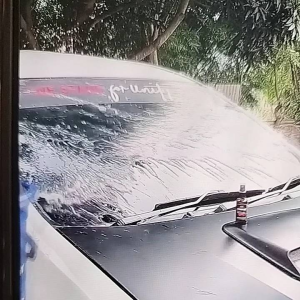 Daun talas kaca mobil/anti jamur kaca mobil