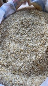 [ขนาด 14 กิโลกรัม] ข้าวน้องหมา-แมว ข้าวนึ่งและข้าวดีด หุงขึ้นหม้อ พร้อมส่ง