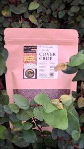 🫘🥜🌿#เพอราเรีย (Pueraria phaseoloides) ขนาดจัมโบ้ 2.0Kg