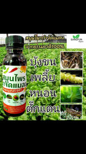 BPสมุนไพรกำจัดแมลง ขนาด150มล. (หมักจากธรรมชาติ100% ปลอดภัยต่อคนและสัตว์เลี้ยง) ยากำจัดแมลง น้ำหมักกำจัดแมลงและหนอน