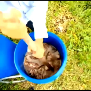 🐬🌿น้ำหมักปลาทะเล1ลิตร🐬🌿 บำรุงเร่งราก ดอก ใบ ผลพืชทุกชนิด