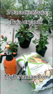 GreenPlant Fertilizers | Baja Organik 10kg Promo | MyPertanian