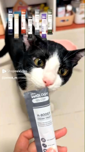 ขนมเเมวเลียpetheria ขายยกชุด  (15กรัม*10ชอง)