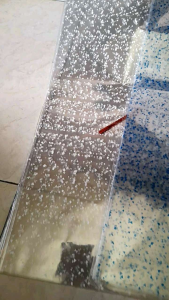 OPP FLOWER UK 28X45CM PLASTIK SNAK PARCEL BUNGKUS HADIAH