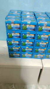 Mustika Dewa Bintang Dua