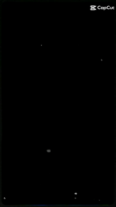 Manfaat Bawang Hitam & Suplemen Bawang Hitam