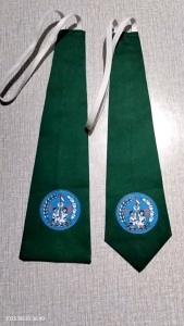 Dasi TK hijau putra putri/dasi mi putra putri