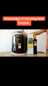 Noni Enzyme Malaysia 500ml. Ingredient: Noni fruits. 100% pure organic no add sugar preservatives artificial colouring and flavouring. After 10 months of fermentation clean fresh clear and enzyme dark in colour great A best quality. CERTIFICATE: BVAQ