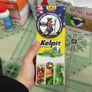 TOBA KELPIT Tảo Biển Australia ( 500ml) 100% Tảo Biển + Auxin - Cytokinin Theo Tỉ Lệ 8:1