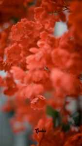 Dompet Lavanya by gabia