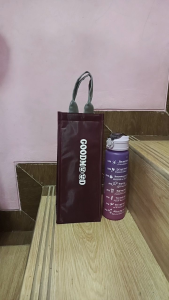 Tas Praktis tas Tumbler/Mug 1-15 liter Tempat Botol Minum sekolah kerja Kuliah Traveling Liter Tas Souvenir tote thermal berlapis aluminium foil
