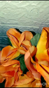 Parfum Wanita Wangi Tahan Lama Romantic Day by HSM