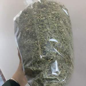 Trà giảo cổ lam Hà Giang - túi 1kg - sấy xanh đẹp tốt cho người mỡ máu cao tiểu đường