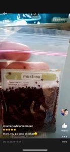Mustasa Seeds: A Guide to Growing Leafy Vegetables