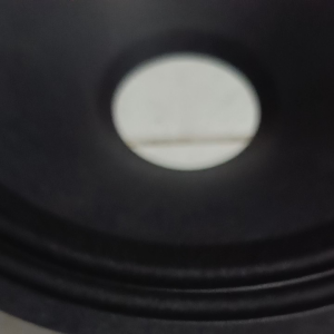 Daun speaker 12 inchi bintik hitam coil 3 inchi