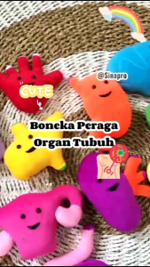 Mainan Edukasi Sistem Organ Tubuh Manusia/ Human Organ Anatomi Sensory Play simulasi organ tubuh/Belajar Mengenal Organ Tubuh Anak Kantong Empedu Kambui Gamby Selen Boneka