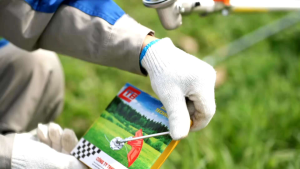 Bát cước cắt cỏ