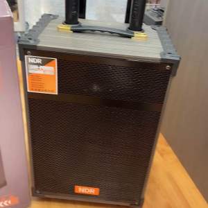 NDR-C12 12-inch Wireless Portable Speaker with Dual Wireless Microphones