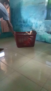 kranjang londri cocok buat naro dan pakaian murah