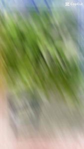 Khay sim Samsung A30S hàng chuẩn giá tốt