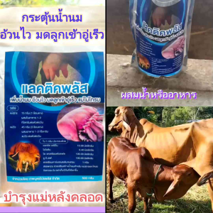 แลคติคำพลัส500กรัมx3ถุง บำรุงน้ำนมสัตว์หลังคลอด