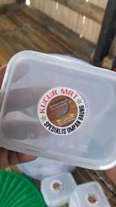 COD 1 KG UMPAN KUCUR SUPER PREMIUM