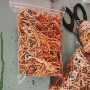 1kg Chong Cao Hua 虫草花 Cordyceps Flower Jamur Bunga Cordyceps