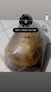 Madu sarang hutan asli 500gr