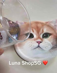 LOCAL SELLER - Diatomite Cup Coaster Cat Shape Kitten Cat Coaster Absorbent