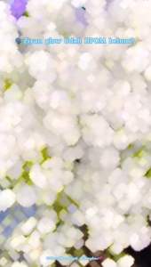 ECER NIGHT CREAM +FACIAL WASH NORMAL BPOM DAN HALAL KRIM WAJAH SAN CUCI MUKA