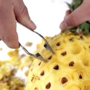 Alat Capit Mata Nanas: Pencapit Nanas Dapur