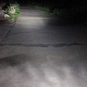 Pha đèn lét 2 tầng xe máy cúp đời mới chạy điện bình ác quy 12v