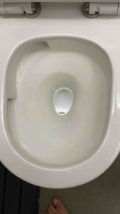 Baron W898 Rimless Tornado Toilet Bowl Gebert Flushing System Water Efficiency 10 Years Warranty Tornado Flush Urea UF-05 Soft Close Seat Cover