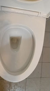 TIARA W918 RIMLESS TORNADO TOILET BOWL