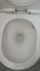 ERVIA EA 180TR Rimless Tornado Toilet Bowl with Gebert System - 10 Years Warranty - Tornado Flush - S-Trap 150MM/250MM - P-Trap 180MM - Free Pan Collar & Delivery