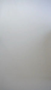 SPRAY SERANGGA CAMAY REPELLENT KUTU KUCING LALAT KAMITETEP