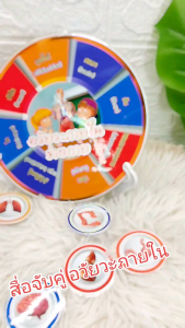 ***สื่อการสอน สุขศึกษา *** สื่อประกอบมือ สื่อสำเร็จ หนีบอวัยวะภายใน เคลือบร้อน *สื่อปฐมวัย สื่อการเรียนรู้ สุขศึกษา สื่อการเรียนรู้สุขศึกษา สื่อการเรียน สุขศึกษา - Lazada