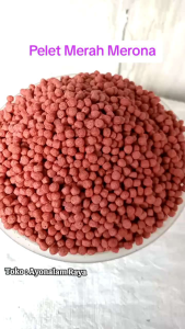 Pakan Ikan Koi 1Kg Makanan Pelet Ikan Koi Protein Tinggi Cepat Besar Untuk Warna Premium 2 5mm