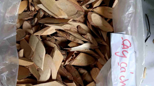 1kg Cây Cách - phơi khô