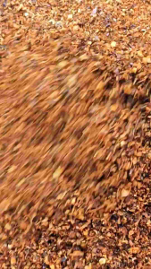 พริกลาบมะแขว่น 500 กรัม กลิ่นหอม คั่วแห้ง เก็บได้นาน ทำใหม่ทุกออเดอร์