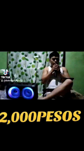 BRODU BTS-1709 Bluetooth Speaker Wireless Karaoke Free Wireless Mic