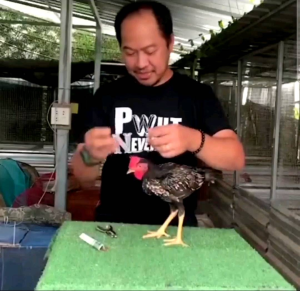 กิ๊ฟติดปีกไก่ สลักชื่อซุ้มด้วยเครื่องเลเซอร์ กิ๊ฟอลูมิเนียม กิ๊ฟโลหะ 10ชิ้น20ชิ้น30ชิ้น50ชิ้น100ชิ้น